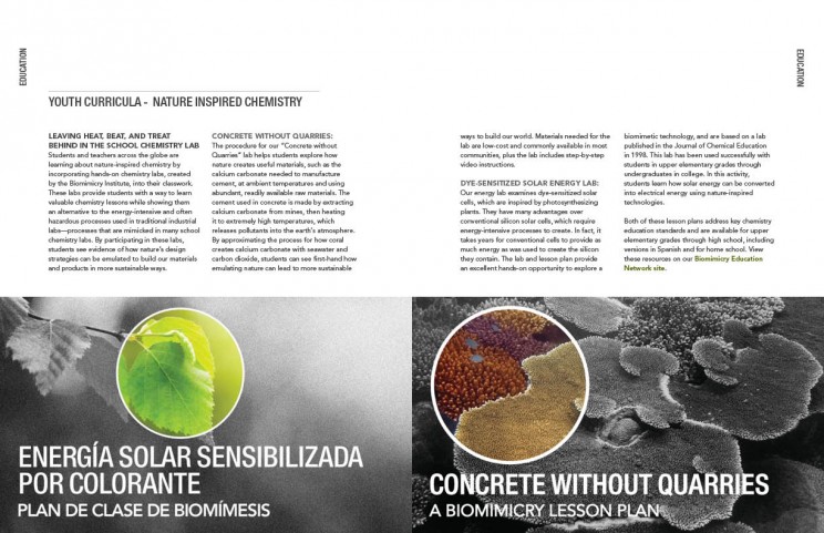 The Biomimicry Institute Annual Report Spread