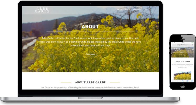 Arbe Garbe Site (laptop & mobile)